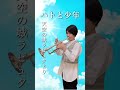 【パズーのトランペット】ハトと少年を吹いてみた!天空の城ラピュタより(Trumpet cover.) #Shorts