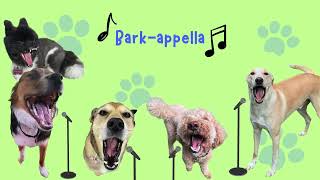 Fun Dog Slideshow 2