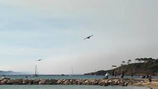 Fireplanes refill