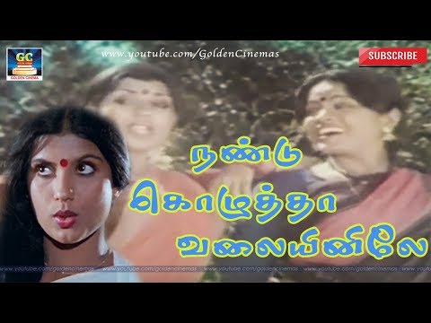 Nandu Kozhuthaa Valaiyinile Song Lyrics on YouTube