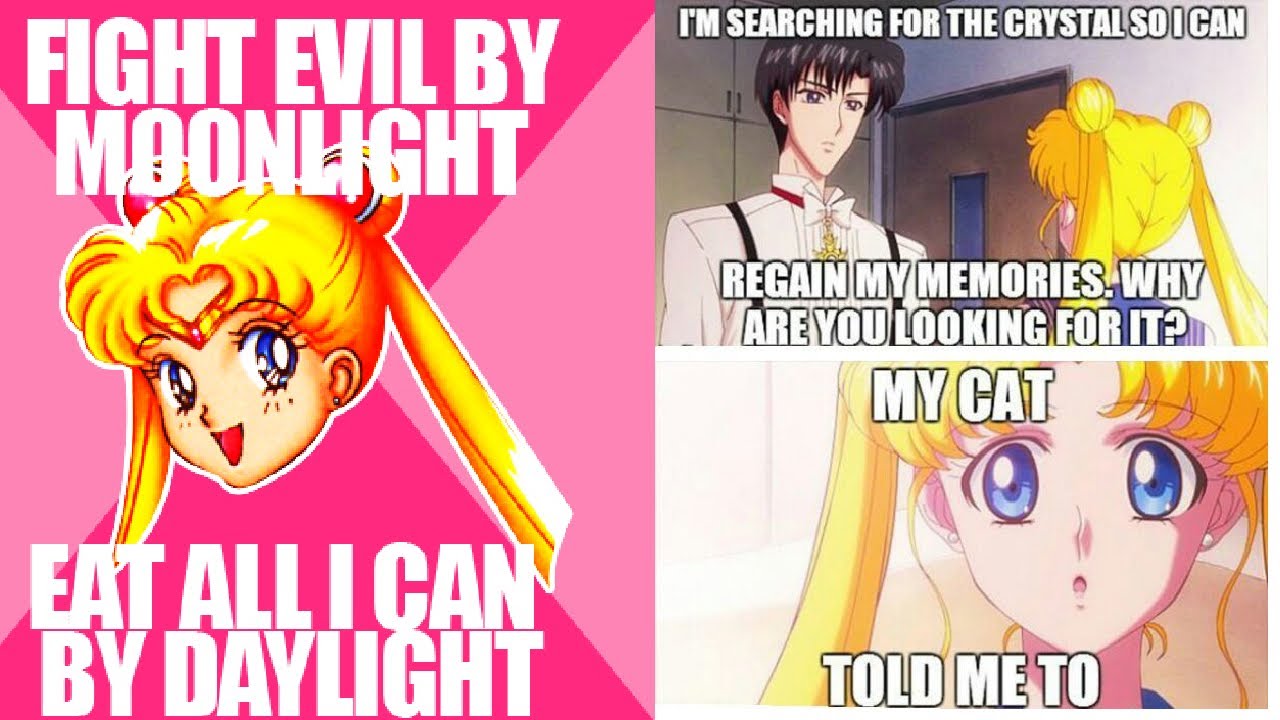 Sailor Moon Memes 2 (Lustige Bilder)