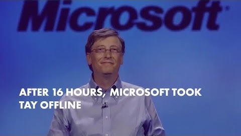 Microsoft Racist Bot, Hitler loving bot unleashed by Microsoft