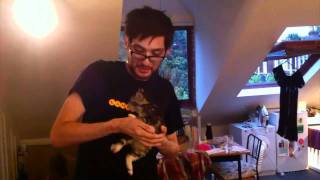 Appetite for Distraction: iPad Apps for Cats screenshot 5