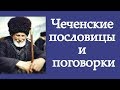 Чеченские пословицы и поговорки