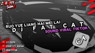 DJ FAT CAT REMIX RUO YUE LIANG HAI MEI LAI VIRAL TIKTOK NEW 2024!!