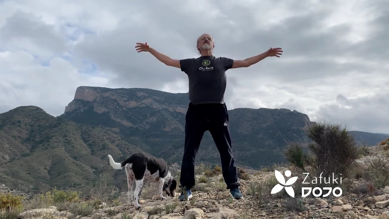 Chi Kung Orgánico - Esferas