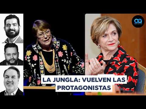 The Jungle | Bachelet gives no respite