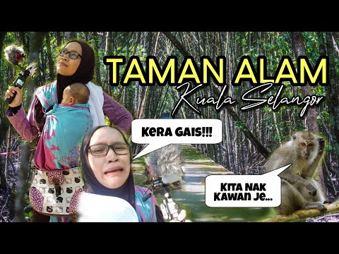 Video: Taman alam 