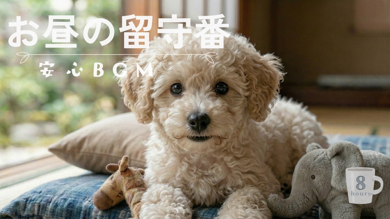 【昼の留守番】安心して休める犬用BGM｜分離不安の犬に落ち着く音楽｜8時間｜Dog Music for Home Alone Dogs｜Calm Relaxation for Separatio
