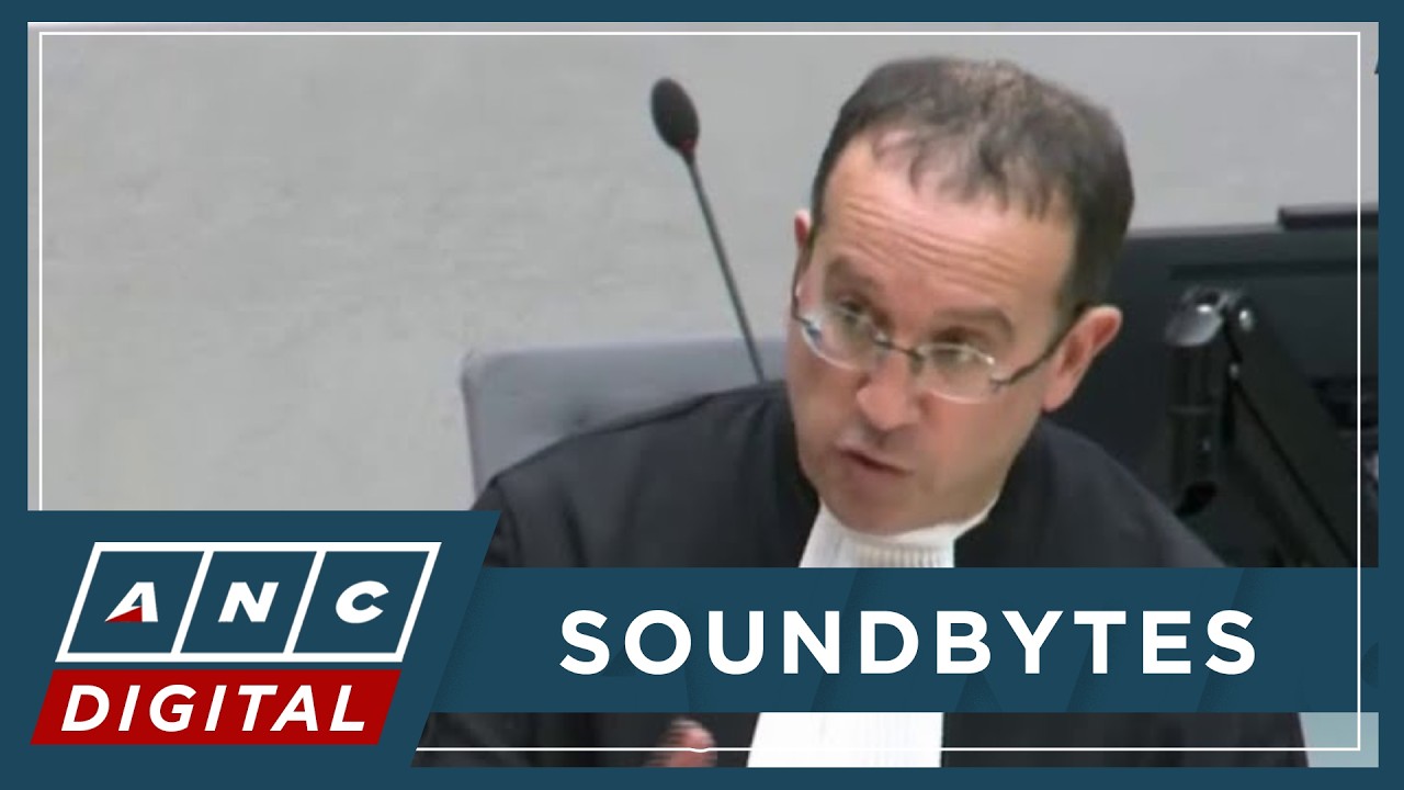 Kaufman: PH judiciary could have dug up Davao, but only evidence of DDS killings is De Lima’s remark