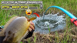 Gila....‼️ngga salah lagi di sini terminalnya ikan betok purba & babon berkumpul#mancingliar 