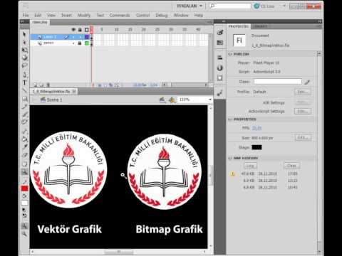 Video: Vektör grafik flaşı nedir?