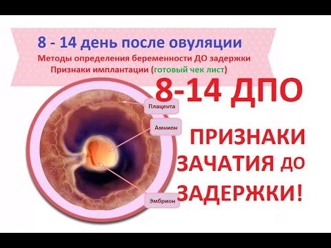 (🔔 ЧЕКЛИСТ) 👶8-14 ДПО - признаки беременности ДО задержки! 15 симптомов зачатия после овуляции