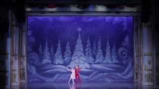 Moscow Ballet's Ekaterina Bortiakova and Mikhail Mikhailov 2013