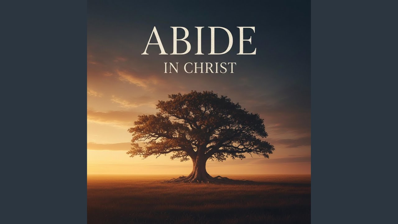 Mira Abide en YouTube Mira Abide en YouTube
