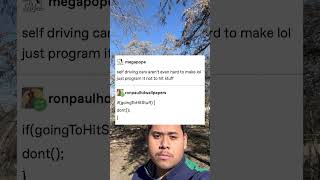 Self Driving Cars Arent Even Hard To Make Lol Just Program It Not To Hit Stuff