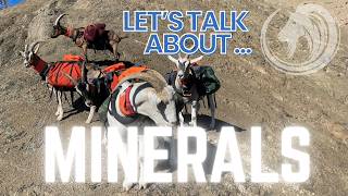 The Truth About Goat Minerals | What Every Herd Needs