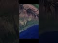 Why Trump hiding this from us? #googleearth #googlemapfuns... #Shorts #faye24h