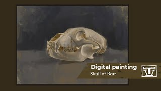 Skulls of bear: digital painting with various photoshop brushes Skulls of bear: digital painting with various photoshop brushes