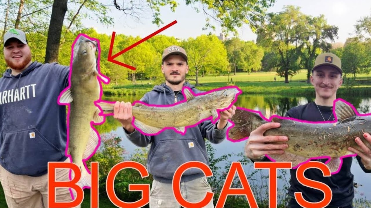 Catfishing 2023 caught my PB!!! YouTube