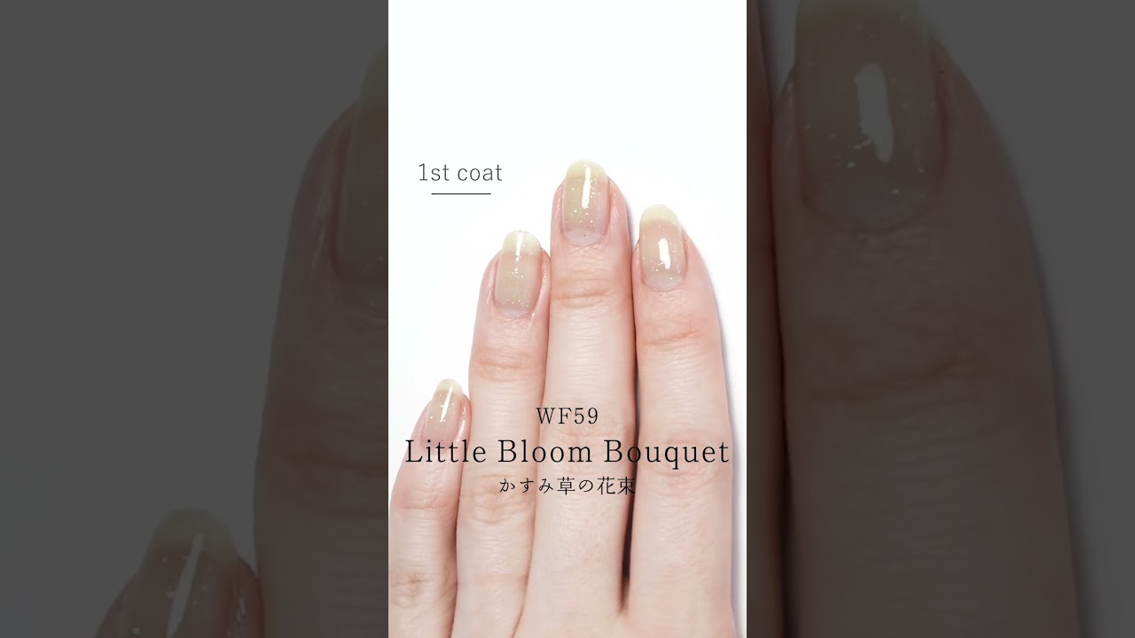 かすみ草ページ 再入荷未定】HOMEI ウィークリージェル WF59 Little Bloom