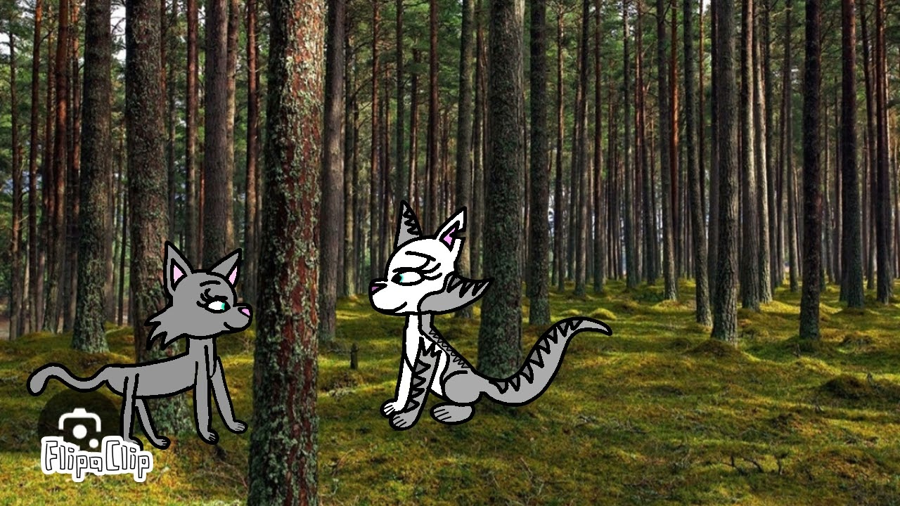 Ivypool & Bristlefrost Sherry Blossom MAP 22 ( for @strawberrychapchap22 )