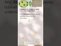Stomata and its functions #school #science #importantquestions #class8 #cbse #pseb_board #pseb