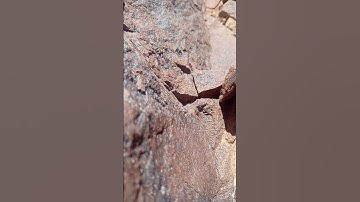 من سورة لقمان #آية #غزة #فلسطين #morocco #اللهم_صل_وسلم_على_نبينا_محمد #فلسطين_حرة