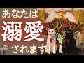 【選択肢○さん過去１神回🤩💞】あなたは溺愛されます❤️🥰🫶🥰❤️愛されポイントは？お相手様の特徴は？今後の展開も🥹✨［タロット/ルノルマン/オラクルカード/恋愛］