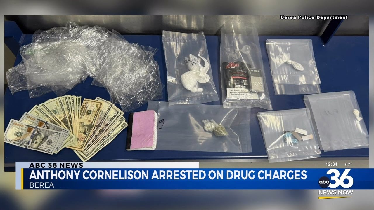 Traffic stop leads to major drug bust - YouTube