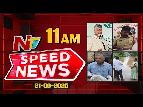 Speed News | 11 AM News Headlines | 21-09-2025 | NTV Telugu - NTVTELUGU