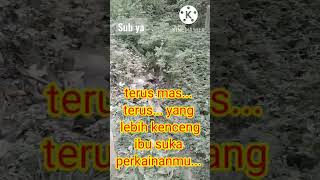 Cerita Dewasashorts cerita Khayal