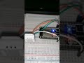 DHT22 web server #shorts
