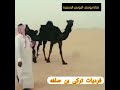 فرديات مجاهيم