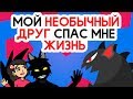 Мой необычный друг спас мне жизнь