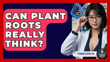 Can Plant Roots Really Think? - Strange Science HQ