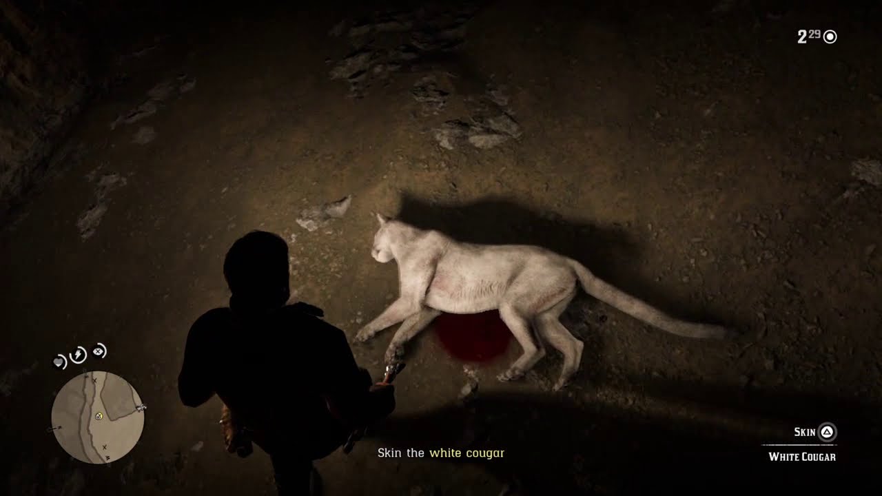 пума рдр. уинтон холмс рдр 2. ред дед редемпшн 2 пума. Rdr 2 пума. Rdr 2 пума на карте.