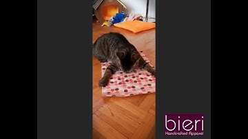 CATNIP BLANKETS