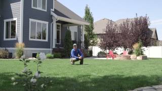 Syracuse Lawn Care by Moore Green
