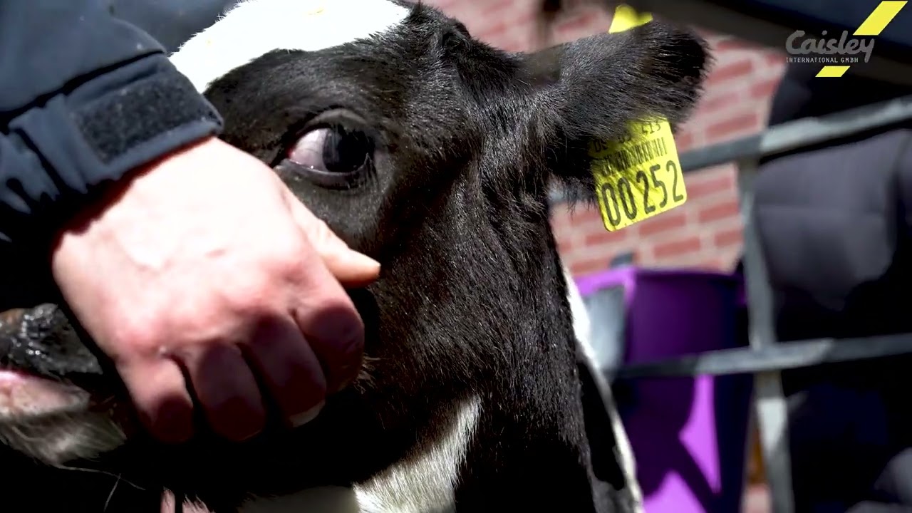 Caisley Imagefilm 2021 RU