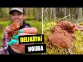 Destice chřapáčová - poznejte pátou chuť UMAMI