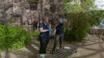 Biosphere 2 360 Ocean