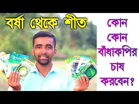 ভিডিও: শীতকালীন বাঁধাকপি কী: শীতকালীন বাঁধাকপি বাড়ানোর টিপস