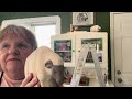 Starting A New Project- Am I Ready For This?  Day in my life Vlog.