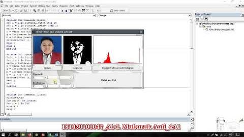 Visual Basic 6.0 || "Pengolahan Citra" - Membuat Aplikasi Pemrosesan Gambar (Image Processing)