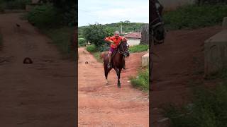 seu mane sabe andar de cavalo #videosengraçados #comdia