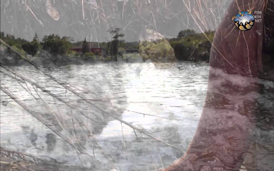 What the Water Remembers