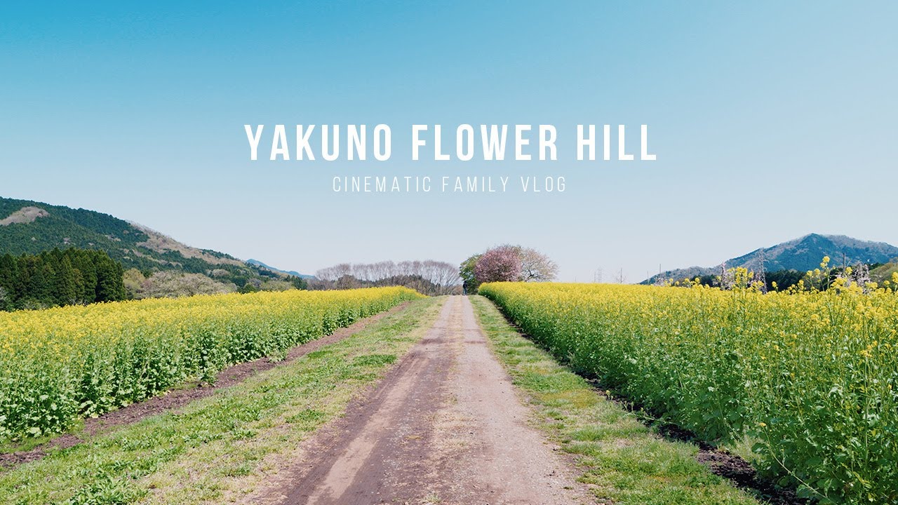 Lumix Gh6 Cinematic Family Vlog Yakuno Flower Hill 朝来四季彩の丘 Youtube