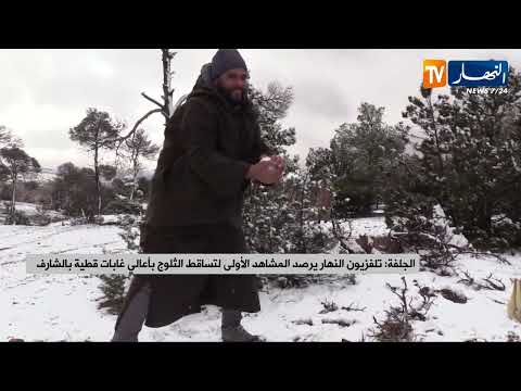 الجلفة تلفزيون النهار يرصد المشاهد الأولى لتساقط الثلوج بأعالي غابات قطية بالشارف 