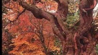 Watch 10 Years The Autumn Effect video